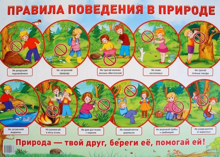 Безопасность в природе.