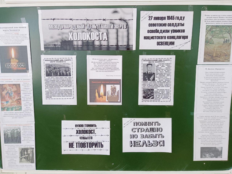 Провели исторический час "Холокост - территория скорби"..